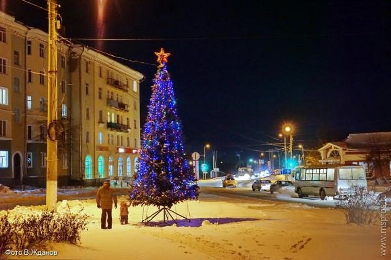 Украдена гирлянда с ёлки на площади Комсомольской