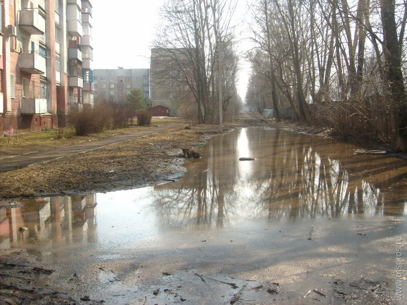 «Грибоедовский канал» на шуйской улице