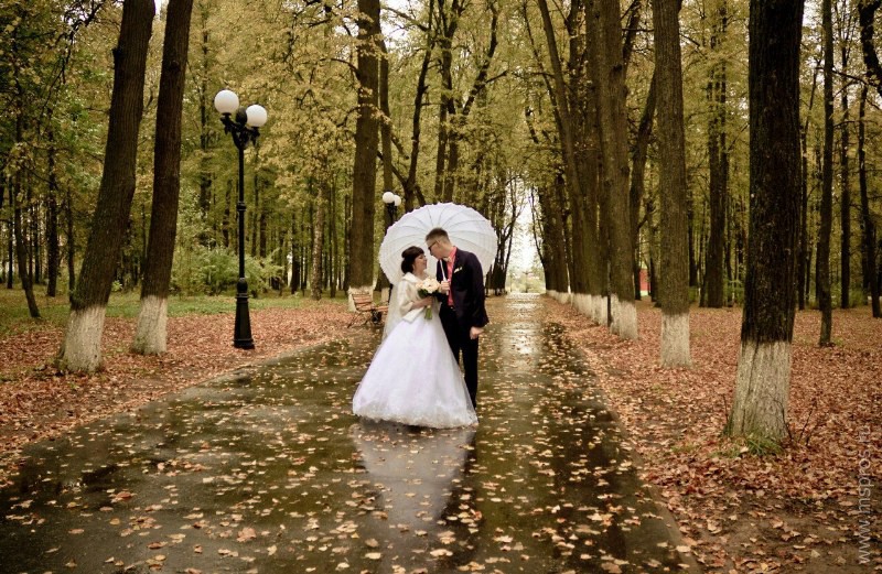 Осень — пора свадеб, время создания новых семейных союзов