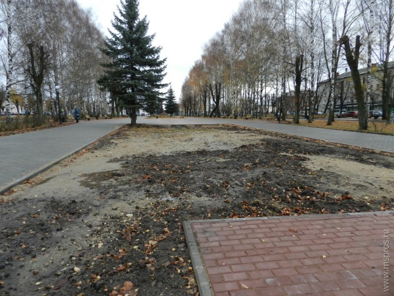 Облик площади Ленина: взгляд официальных лиц и простых горожан