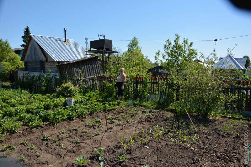 6 соток станут дороже… … или как правительство заботится о садоводах-огородниках.